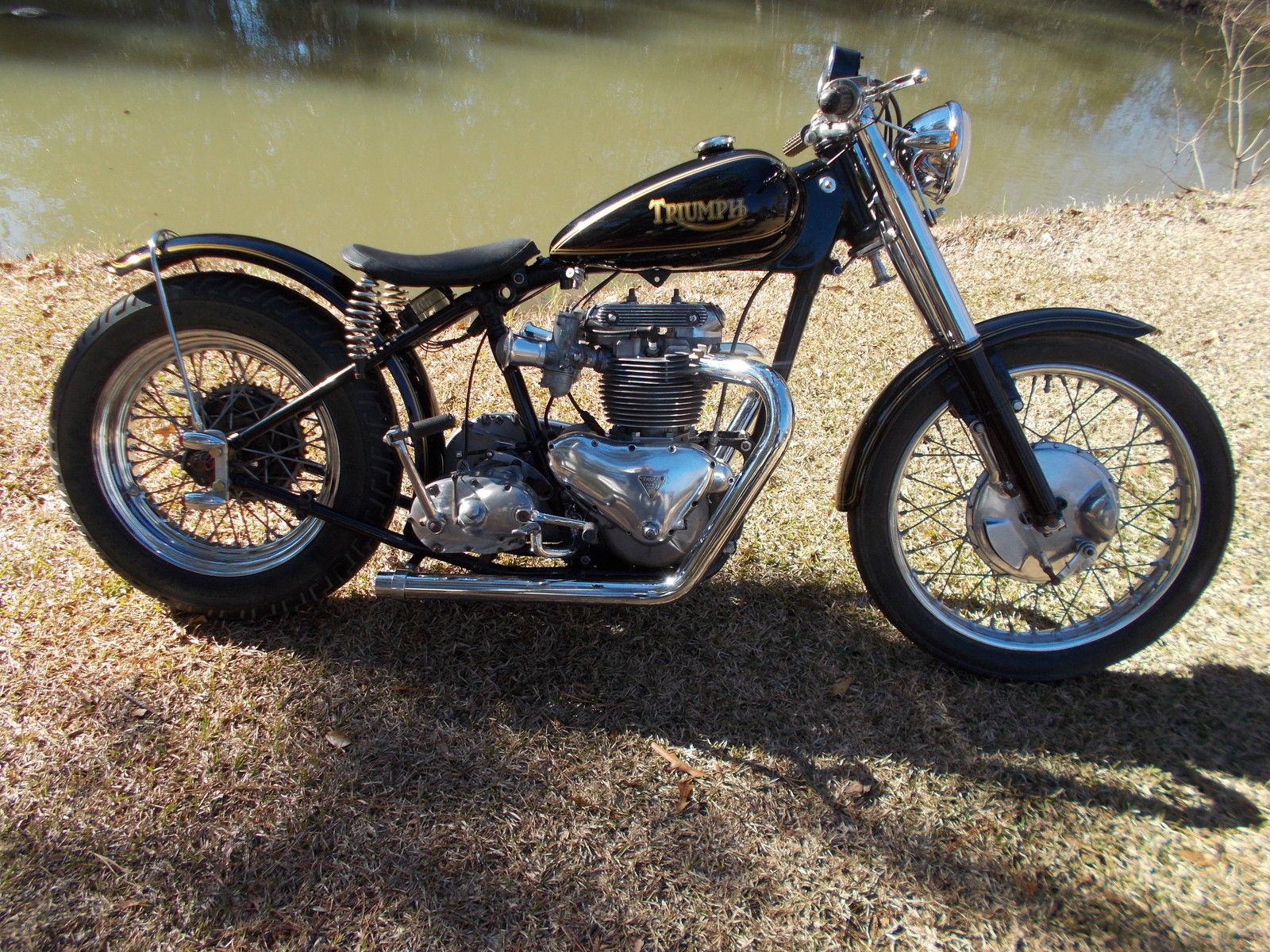 triumph thunderbird chopper