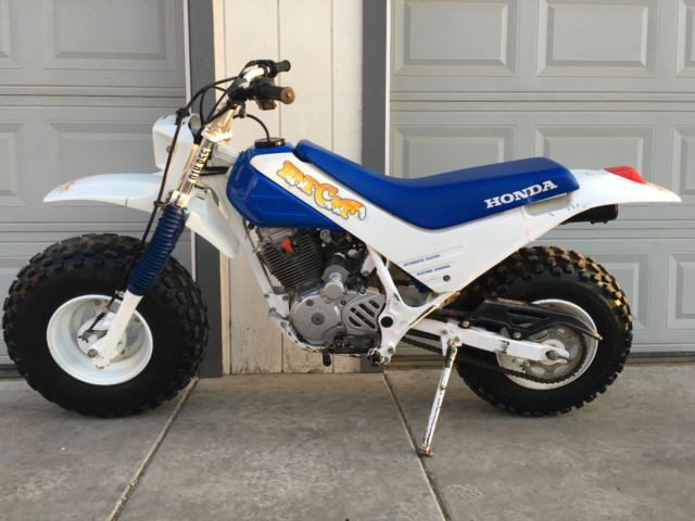 fat cat dirt bike for sale