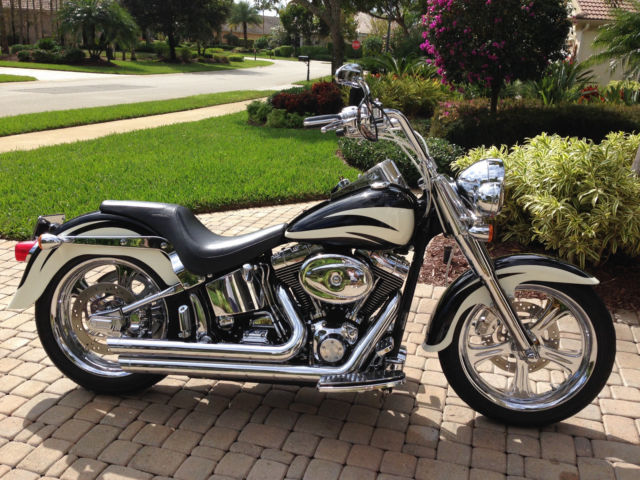 Harley Davidson Softail fat boy Custom