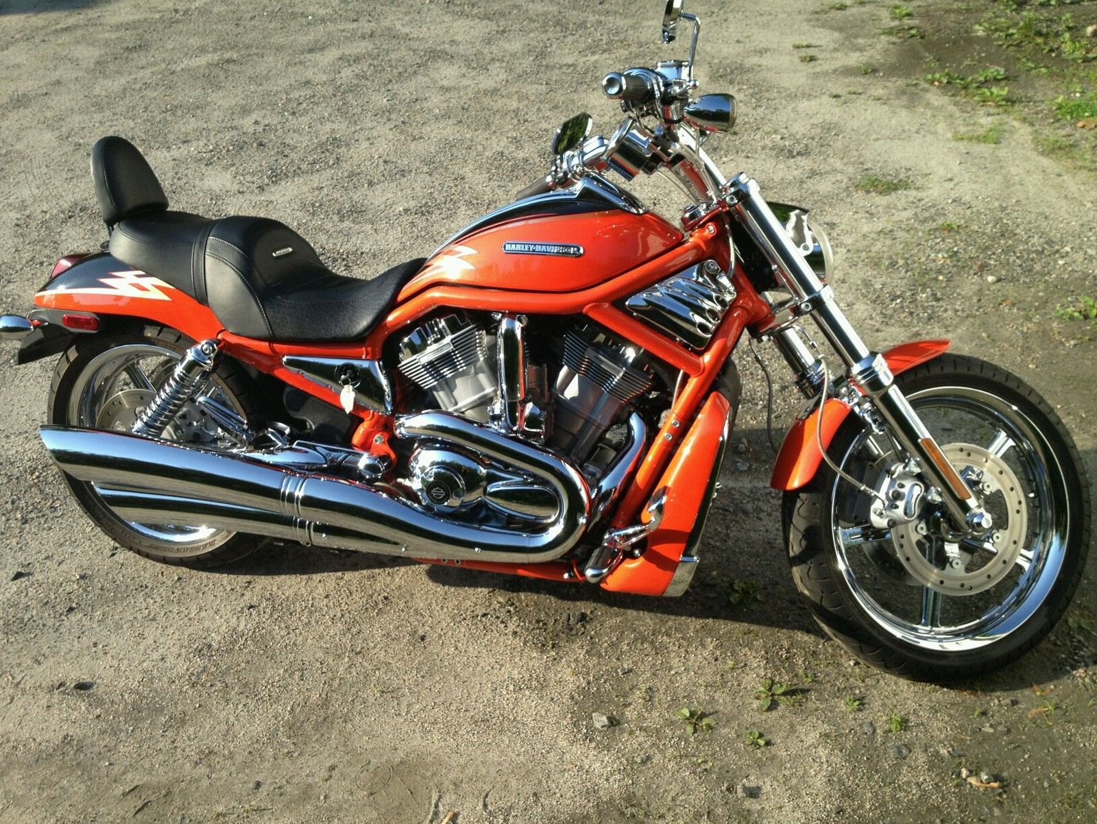 2006 screamin eagle v rod for sale