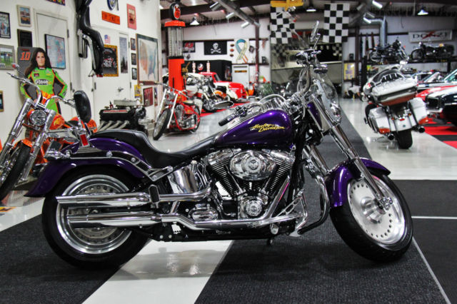 2008 fatboy anniversary edition