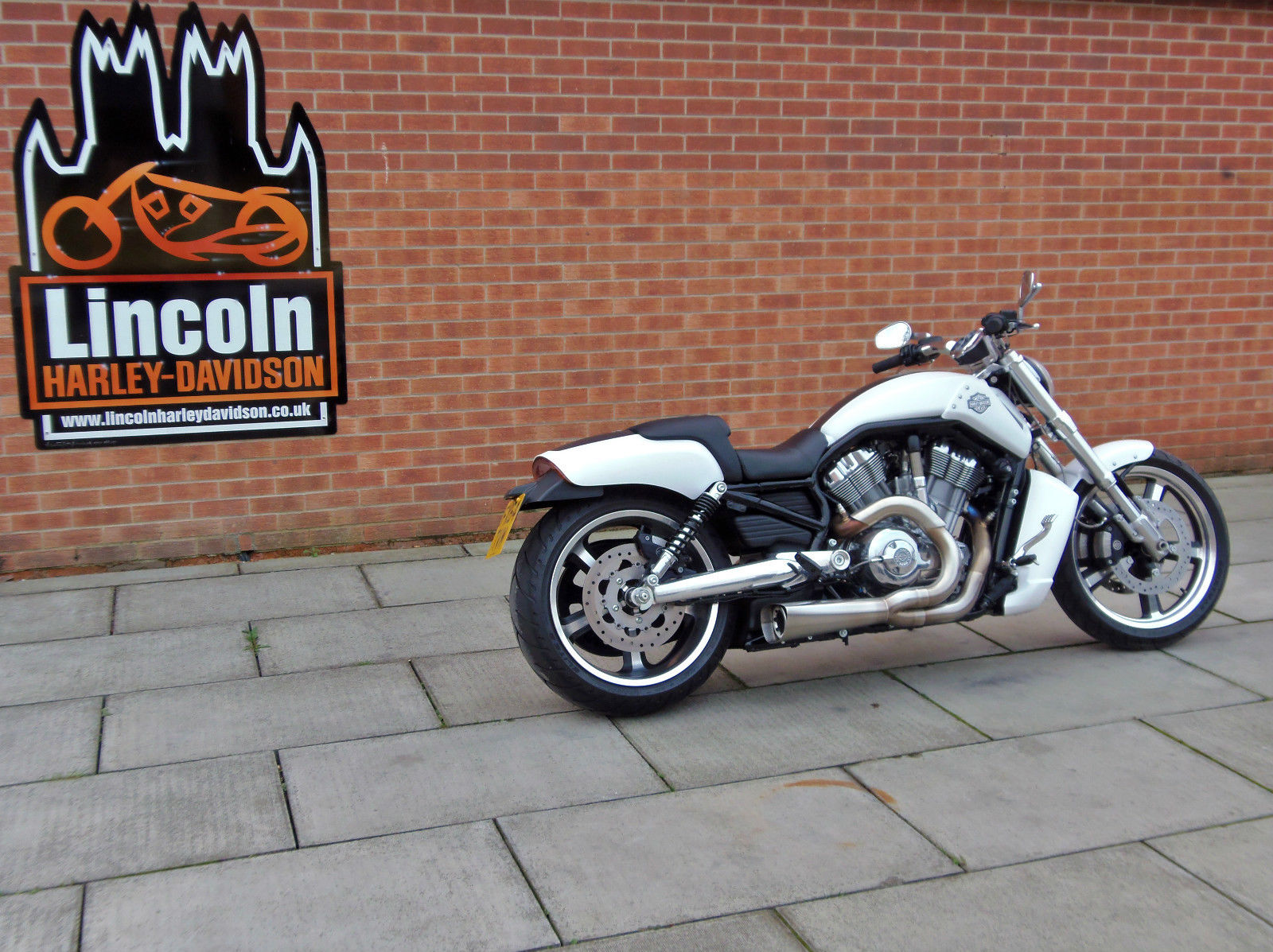 Harley Davidson v Rod muscle VRSCF