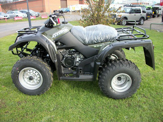 2015 Suzuki Ozark Lt-f250 2wd Atv