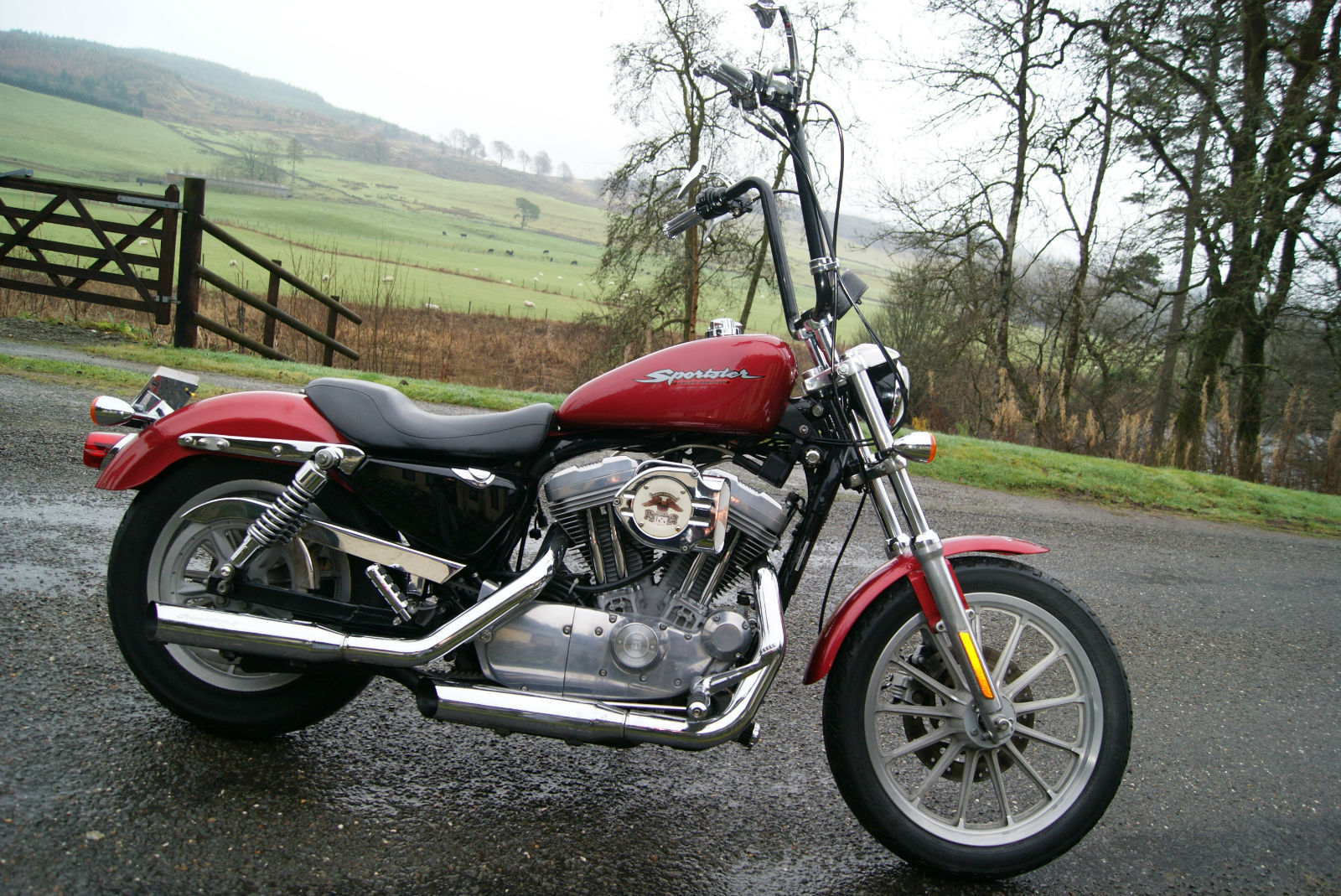 HARLEY DAVIDSON XLH 883 SPORTSTER, LOW MILEAGE AND EXTRAS.