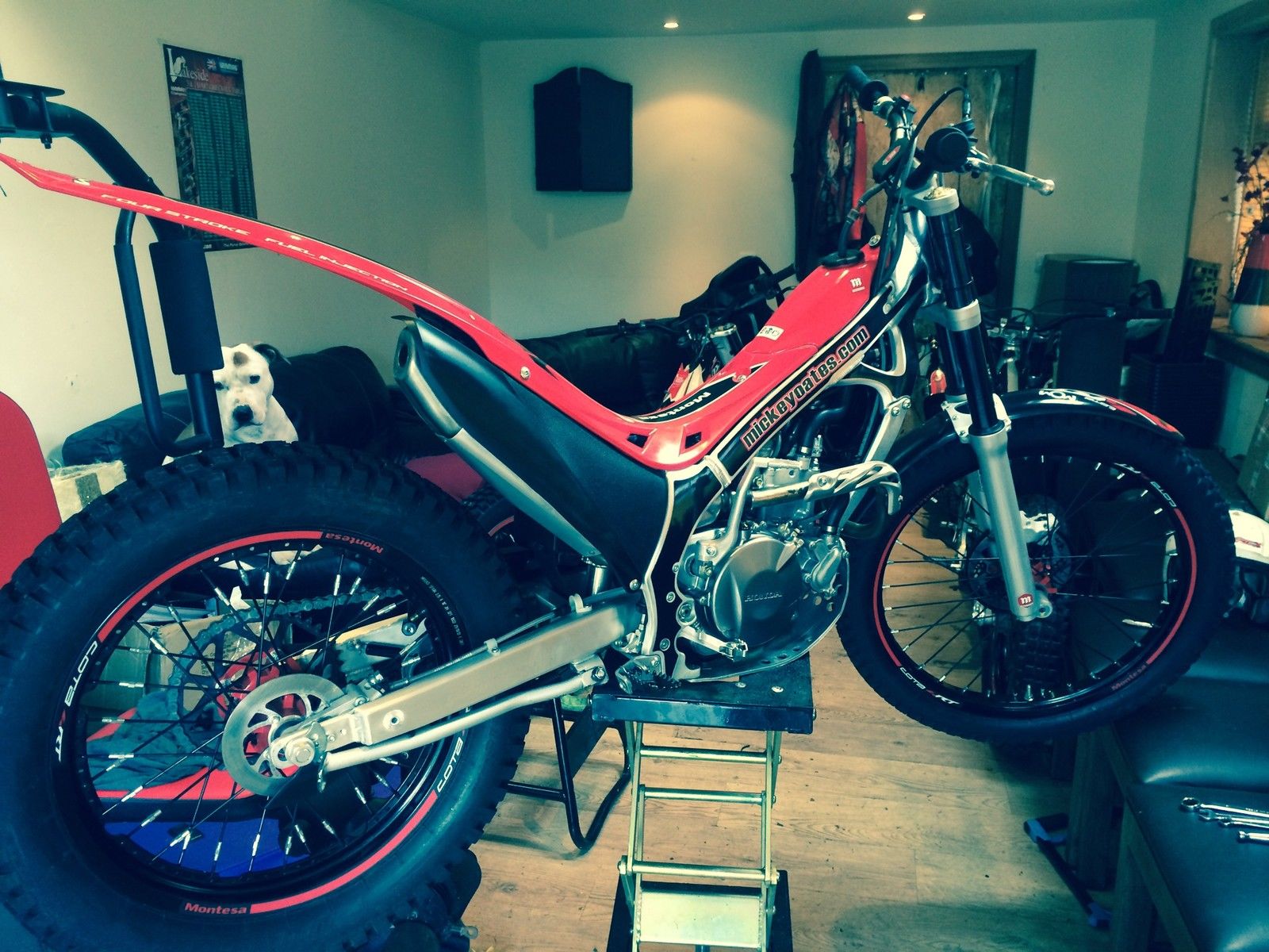 montesa 4rt 2014