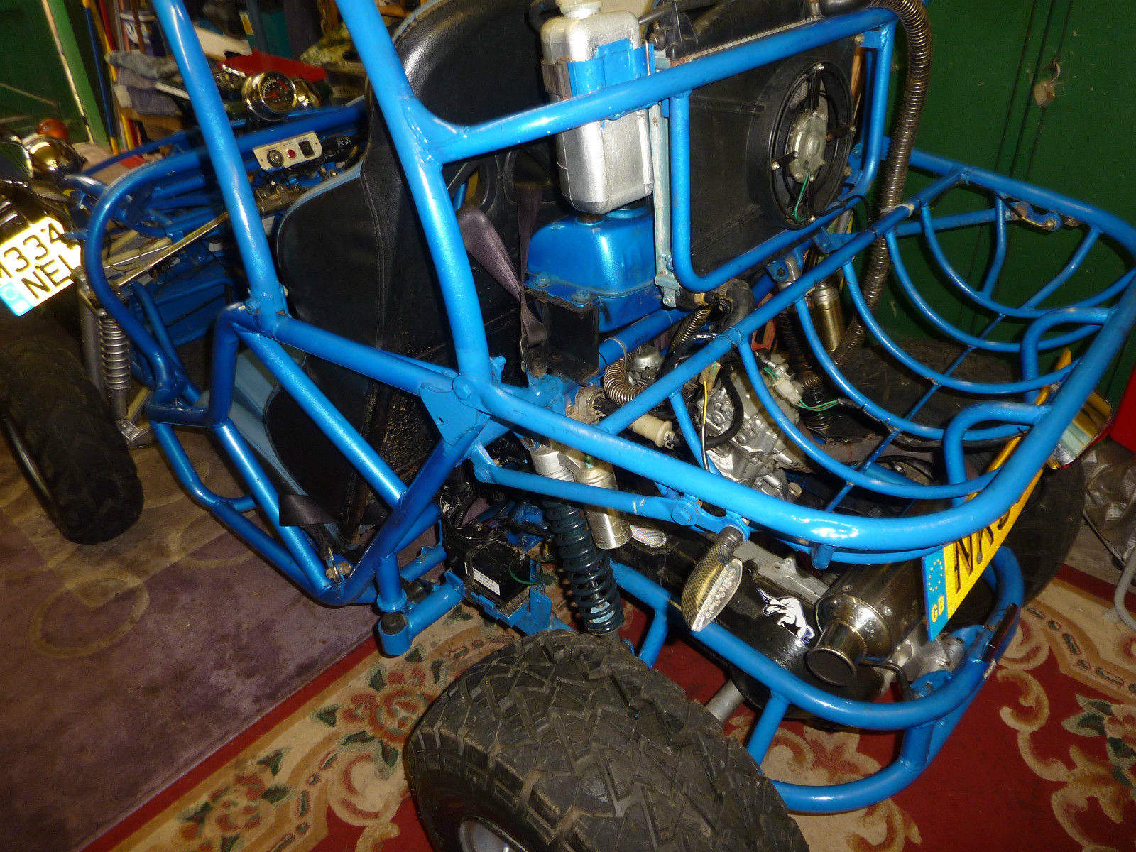 quadzilla buggy 250cc