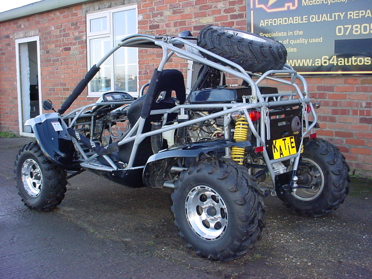 rl500 buggy