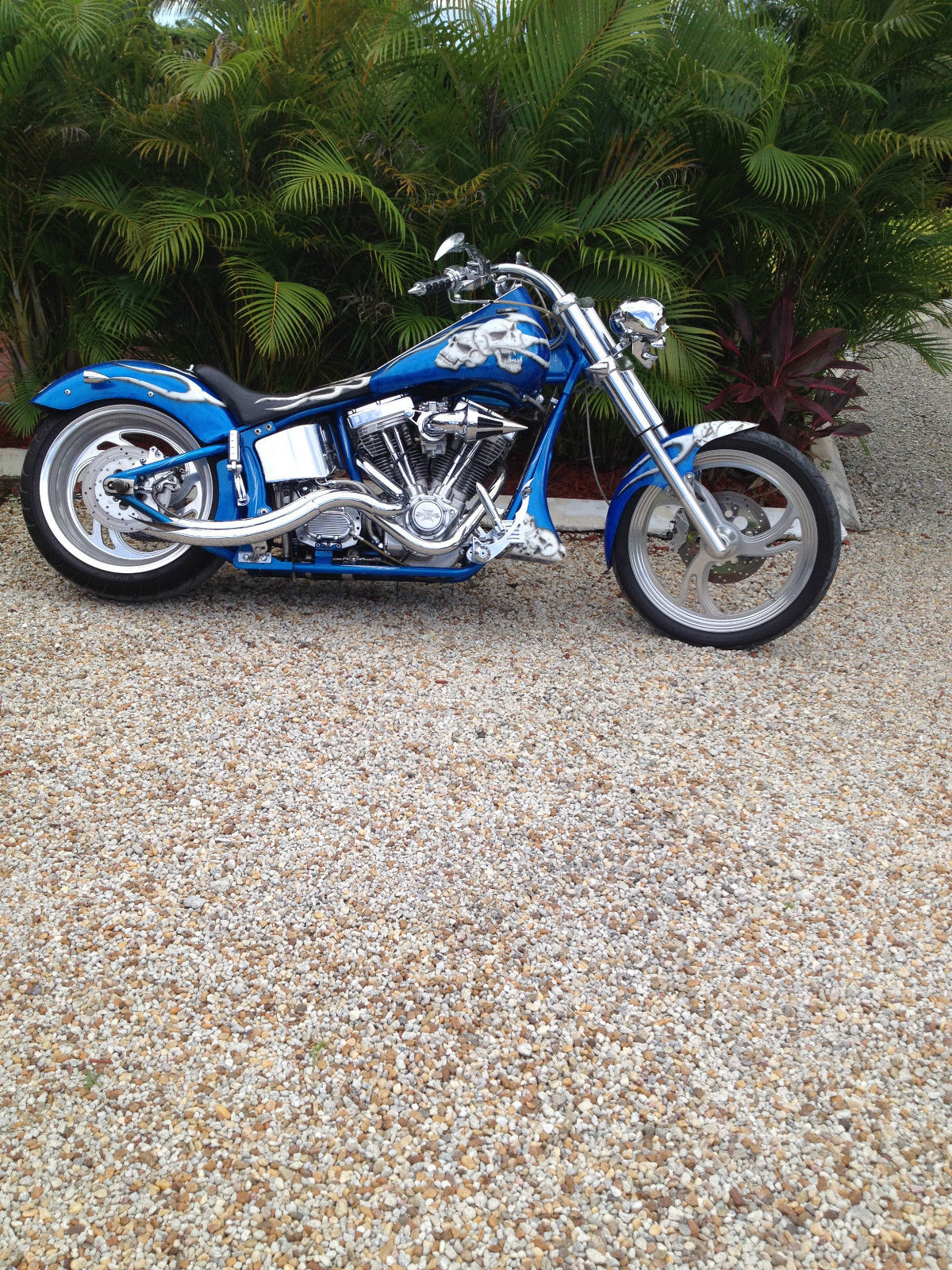 2001 Softtail Custom Bike